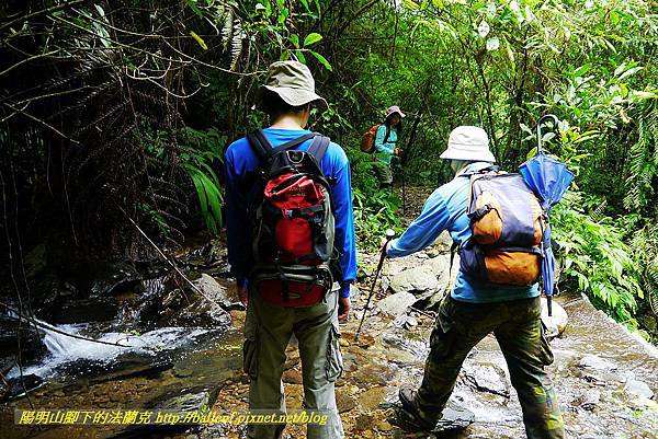 P1560993.jpg P1560993.jpg