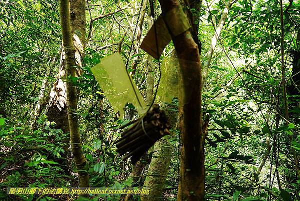 P1560994.jpg P1560994.jpg