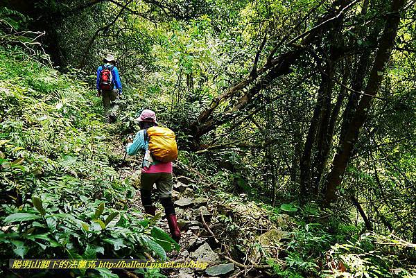 P1560995.jpg P1560995.jpg