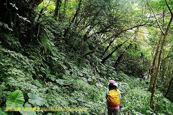 P1560996.jpg P1560996.jpg