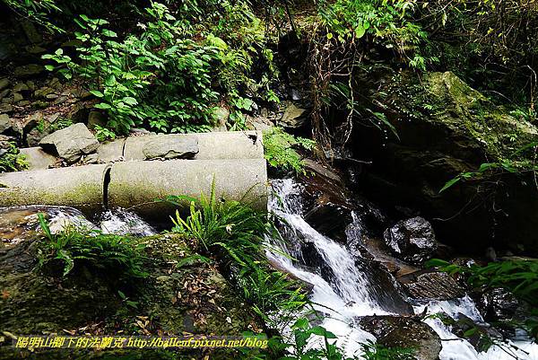 P1560998.jpg P1560998.jpg