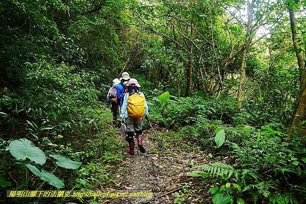 P1570002.jpg P1570002.jpg