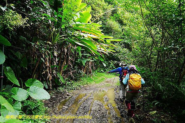 P1570005.jpg P1570005.jpg