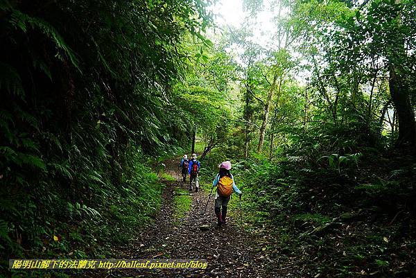 P1570009.jpg P1570009.jpg