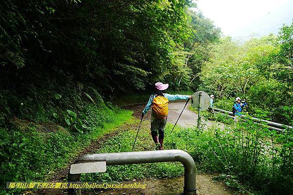 P1570010.jpg P1570010.jpg