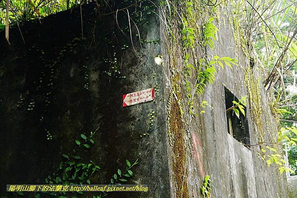 P1570012.jpg P1570012.jpg