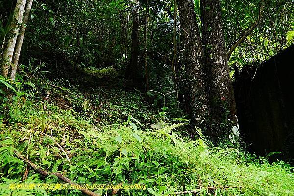 P1570013.jpg P1570013.jpg