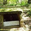 P1570076.jpg