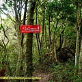 P1600103.jpg