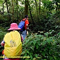 P1650191.jpg