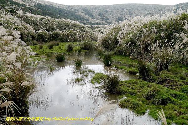 P1650300.jpg P1650300.jpg