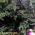 IMG_20150102_144722.jpg