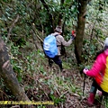 P1670999.jpg