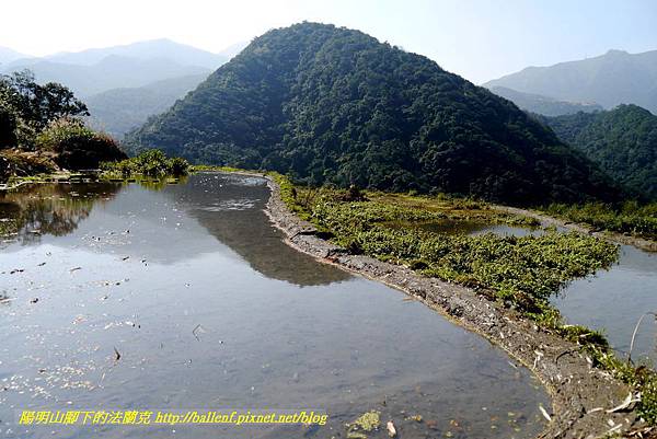 P1680732.jpg P1680732.jpg