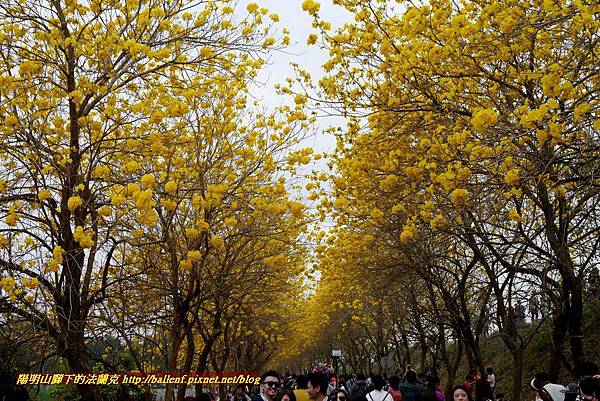 P1730856.jpg P1730856.jpg