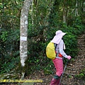 P1750758.jpg