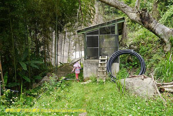 P1770714.jpg P1770714.jpg