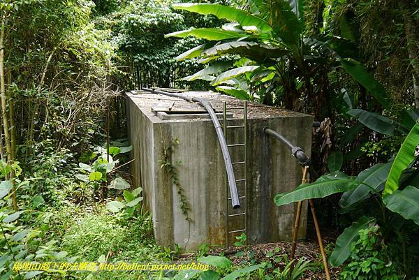 P1770715.jpg P1770715.jpg