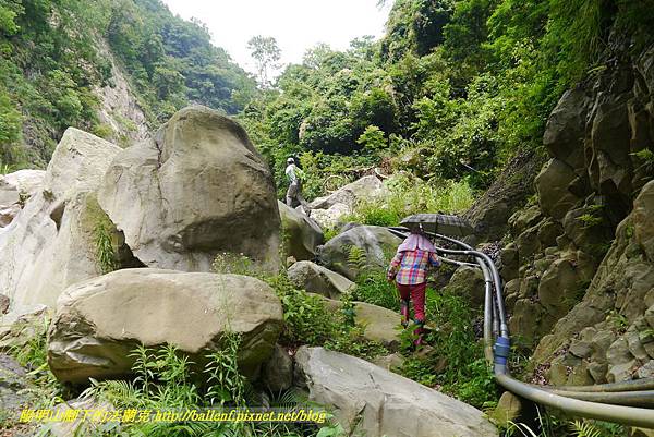 P1770718.jpg P1770718.jpg