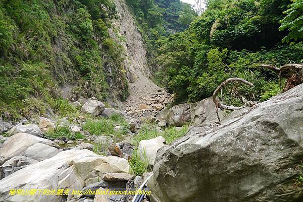 P1770721.jpg P1770721.jpg