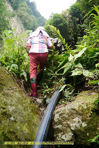 P1770723.jpg P1770723.jpg