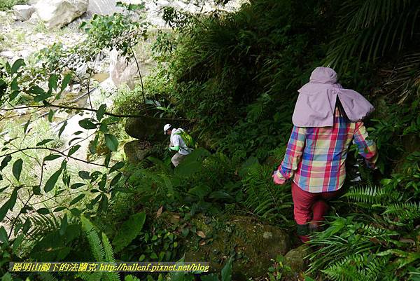 P1770724.jpg P1770724.jpg