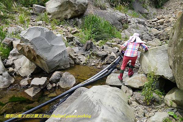 P1770726.jpg P1770726.jpg