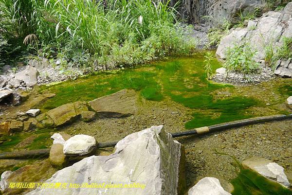 P1770728.jpg P1770728.jpg