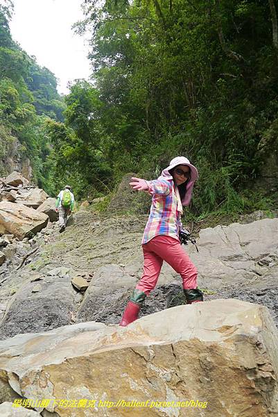 P1770729.jpg P1770729.jpg