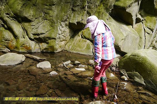 P1770734.jpg P1770734.jpg