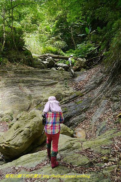 P1770742.jpg P1770742.jpg