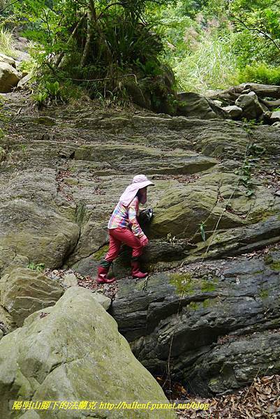 P1770743.jpg P1770743.jpg