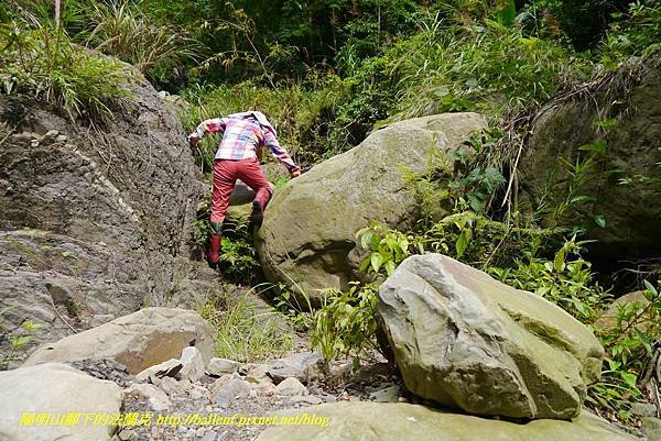 P1770745.jpg P1770745.jpg