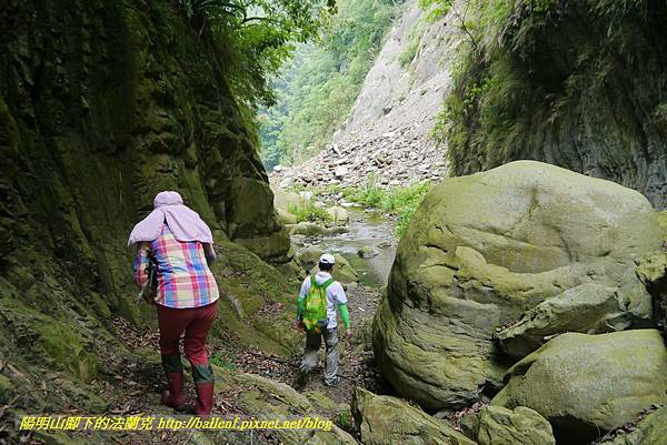 P1770769.jpg P1770769.jpg