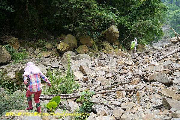 P1770779.jpg P1770779.jpg