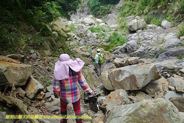 P1770781.jpg P1770781.jpg