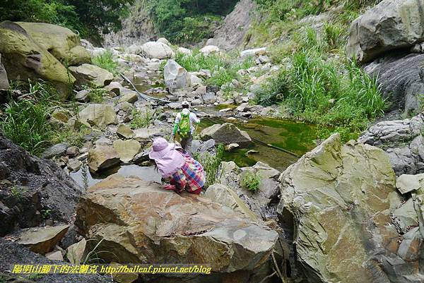 P1770783.jpg P1770783.jpg