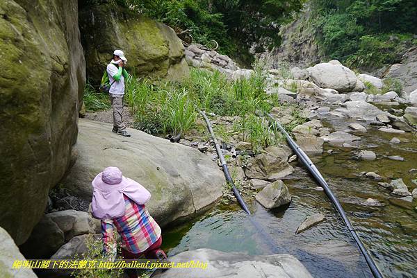 P1770784.jpg P1770784.jpg