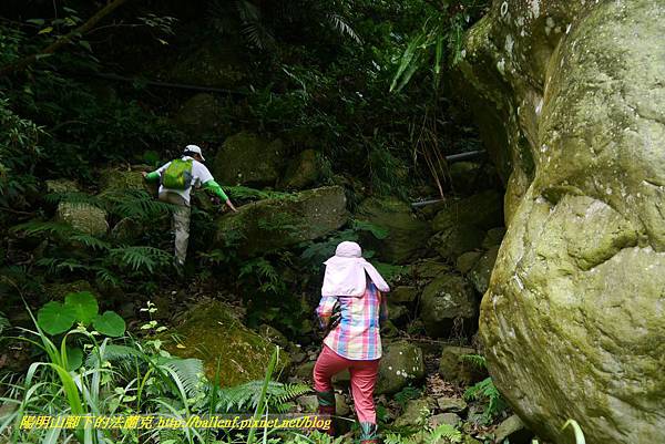 P1770785.jpg P1770785.jpg