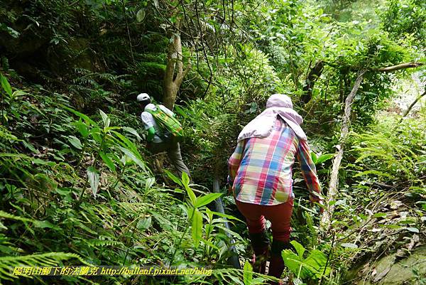 P1770786.jpg P1770786.jpg