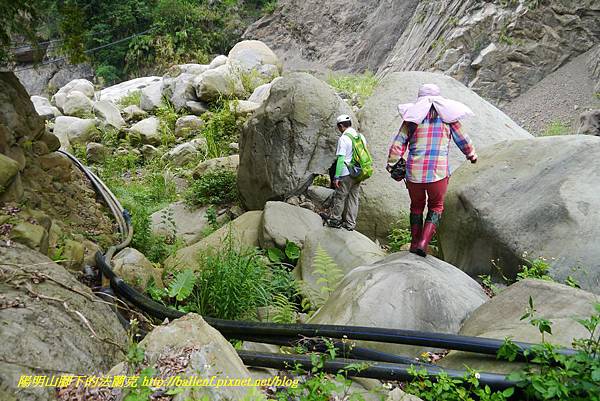 P1770788.jpg P1770788.jpg