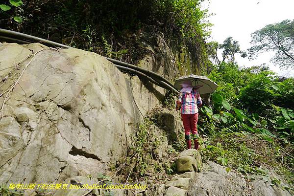 P1770790.jpg P1770790.jpg