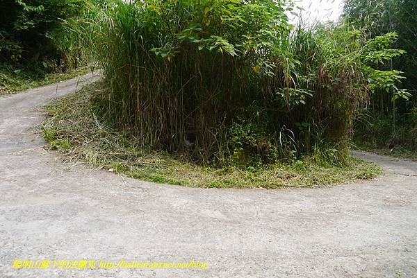 P1770794.jpg P1770794.jpg