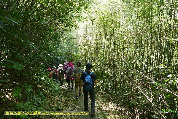 P1780308.jpg P1780308.jpg