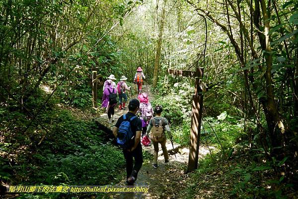 P1780310.jpg P1780310.jpg