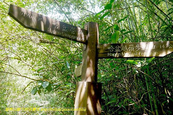 P1780311.jpg P1780311.jpg