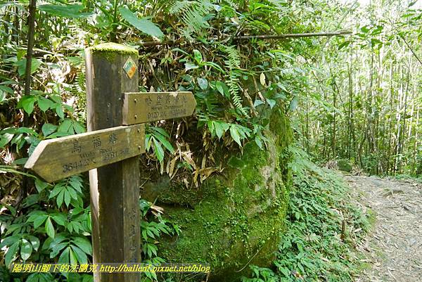 P1780312.jpg P1780312.jpg