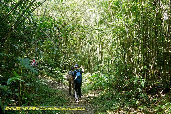 P1780313.jpg P1780313.jpg