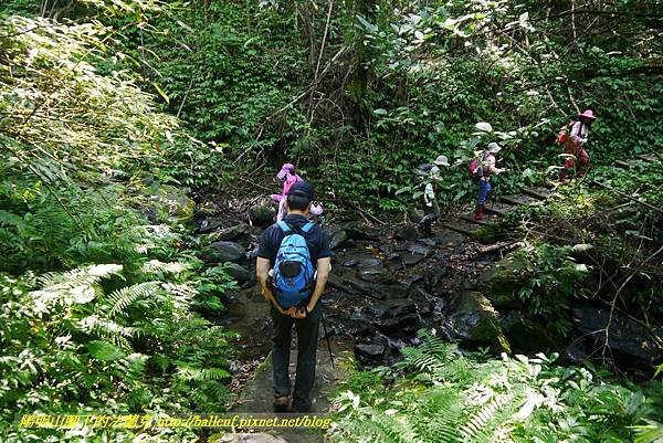 P1780315.jpg P1780315.jpg