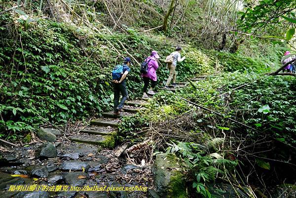 P1780316.jpg P1780316.jpg